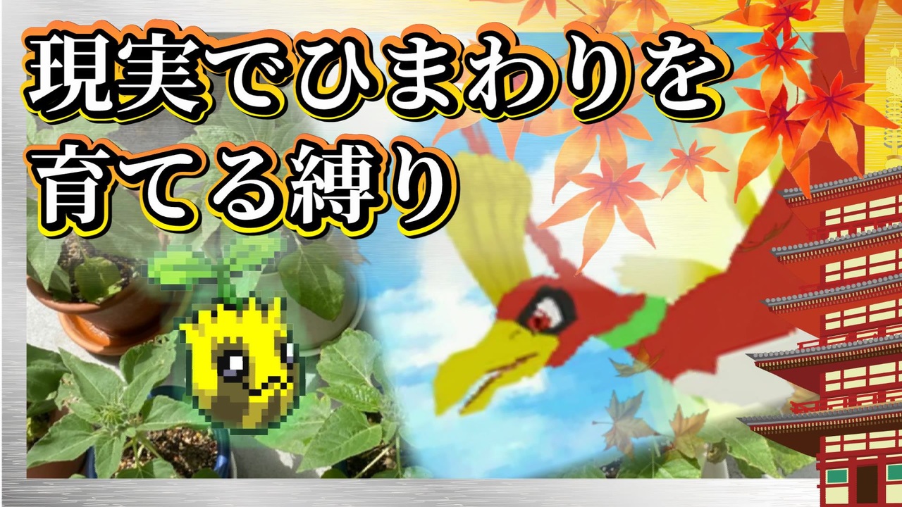 人気の ホウオウ 動画 230本 ニコニコ動画