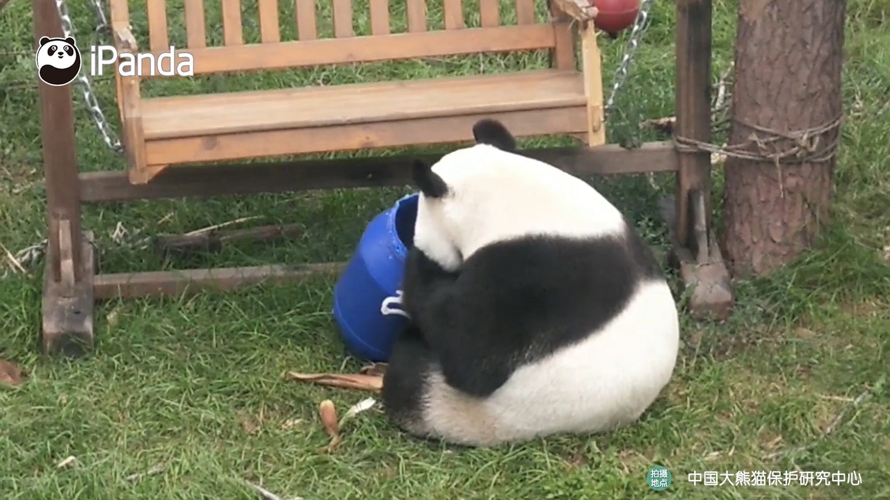 人気の ジャイアントパンダ けものフレンズ 動画 39本 ニコニコ動画