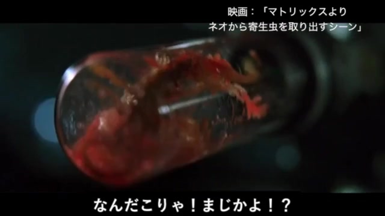 人気の 寄生虫 動画 405本 10 ニコニコ動画