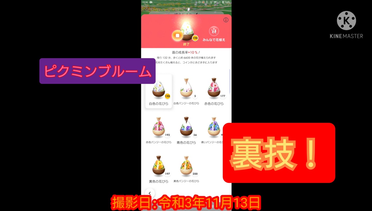 ピクミンブルーム 花びらを一気に消費する裏技 ニコニコ動画