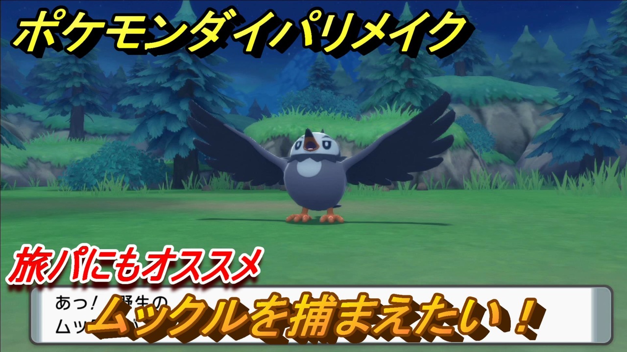 ポケモンダイパリメイク 旅パおすすめ ムックルを捕まえる方法 生息地は ポケモン図鑑コンプへの道 ブリリアントダイヤモンド シャイニングパール ニコニコ動画