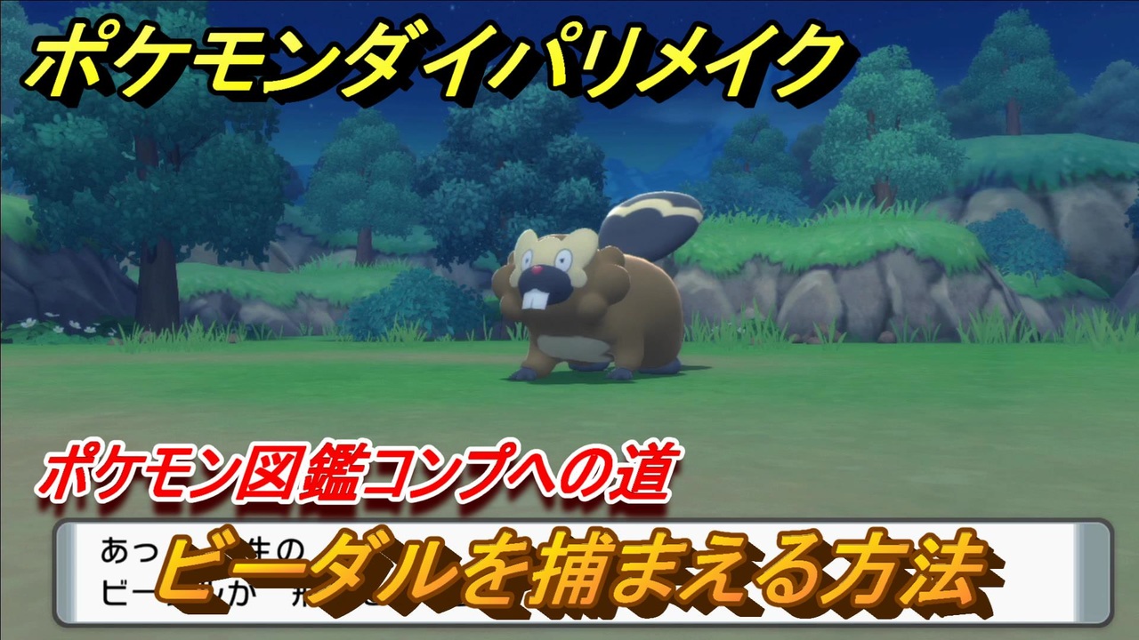 ポケモンダイパリメイク ビーダルを捕まえる方法 生息地は ポケモン図鑑コンプへの道 ブリリアントダイヤモンド シャイニングパール ニコニコ動画