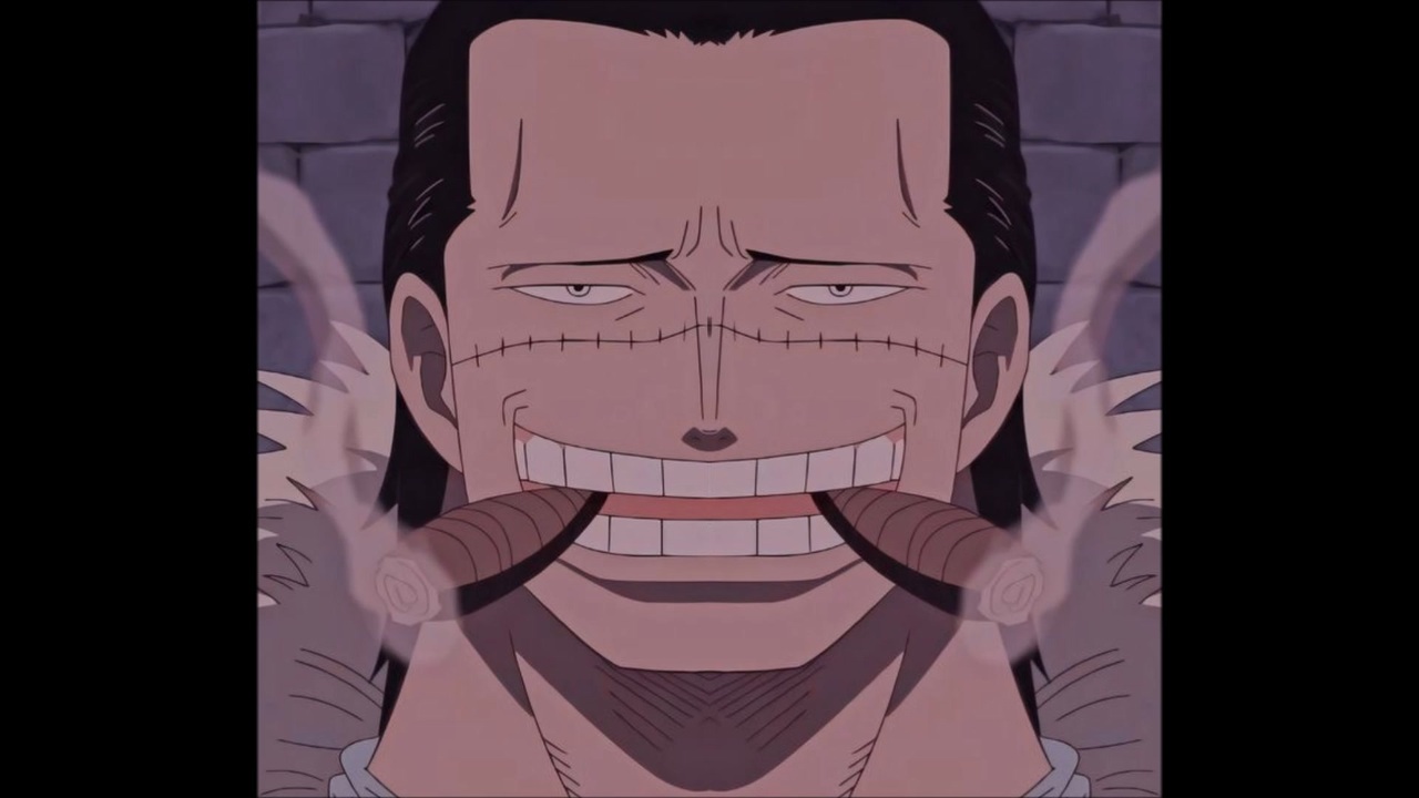 8 ワンピース キャラクターをシンメトリー 左右対称 に One Piece ニコニコ動画