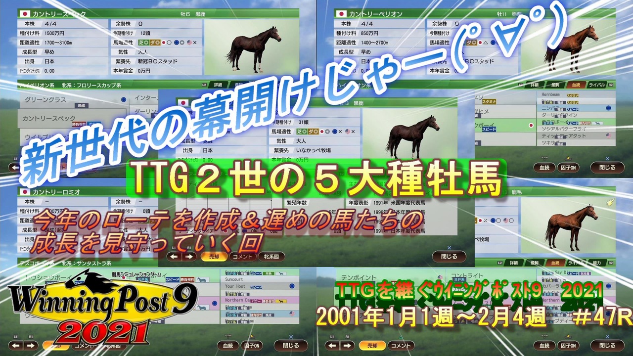 Ttgの意志を継ぐウイニングポスト９ ２０２１ 47 見落としがちの超大物は基本３歳新馬 難易度ultimate 01年1月1週 2月4週 引き継ぎあり ニコニコ動画