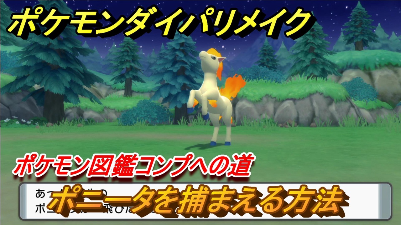 ポケモンダイパリメイク ポニータを捕まえる方法 生息地は ポケモン図鑑コンプへの道 ブリリアントダイヤモンド シャイニングパール ニコニコ動画