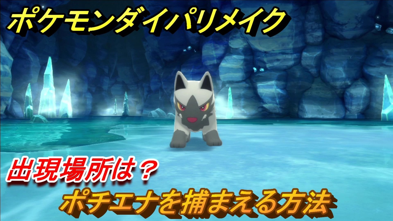 ポケモンダイパリメイク ポチエナを捕まえる方法 出現場所は ブリリアントダイヤモンド シャイニングパール ニコニコ動画