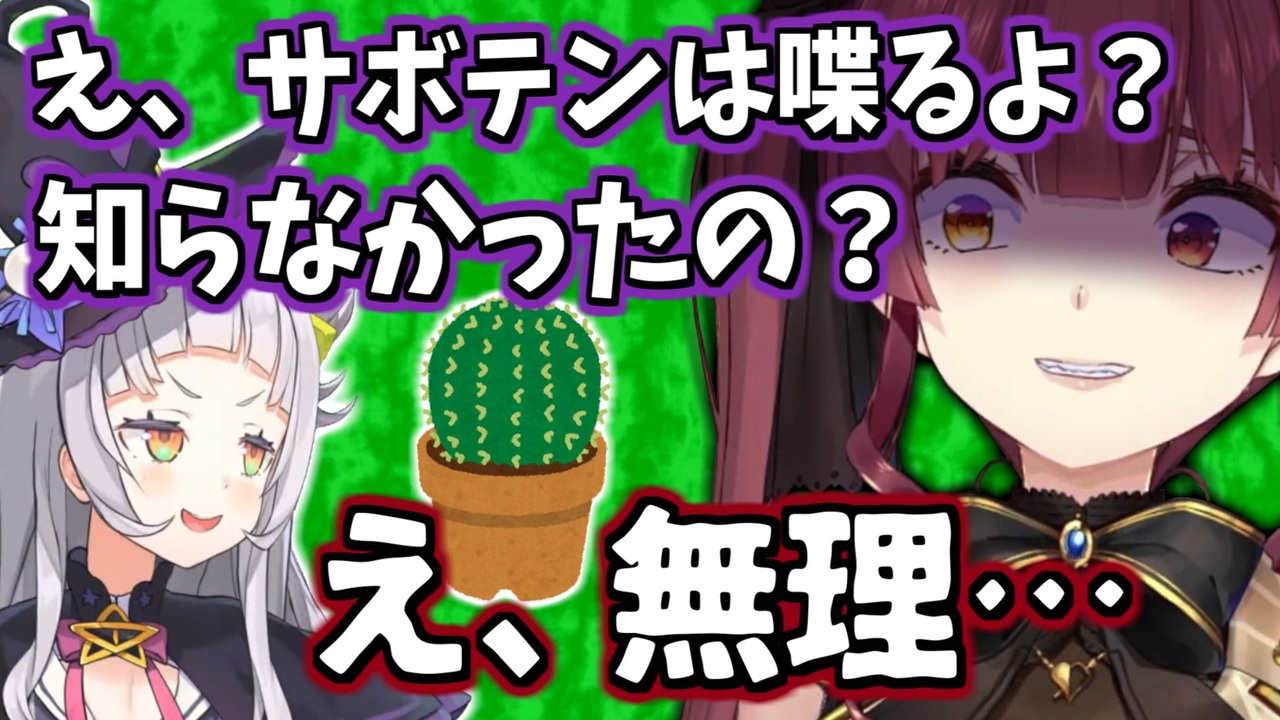 サボテンが喋ることを初めて知り 脳がおかしくなるマリン船長 宝鐘マリン 紫咲シオン ホロライブ切り抜き ニコニコ動画