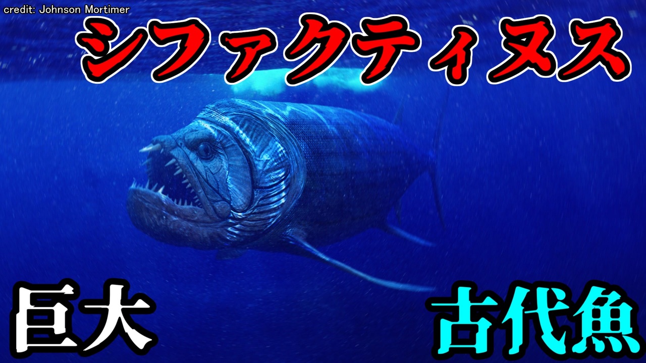 巨大古代魚シファクティヌス ゆっくり解説 ニコニコ動画