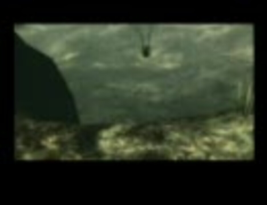 だ タイム パラドックス