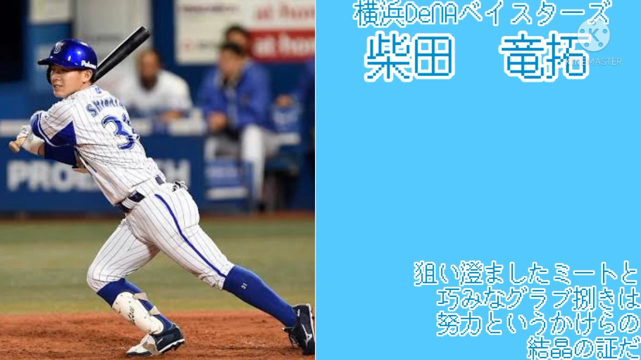 DENAベイスターズ 柴田竜拓 支給 バット アイピーセレクト NPB