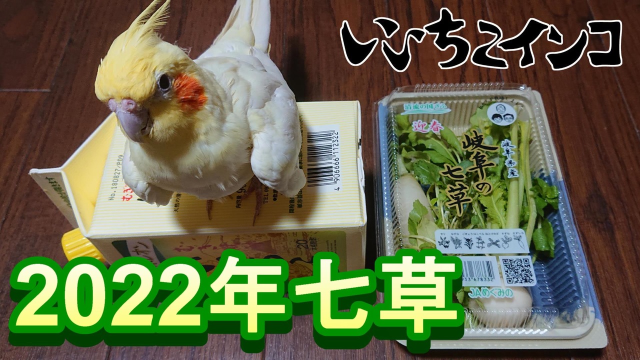 人気の インコ オカメインコ 動画 1 227本 ニコニコ動画