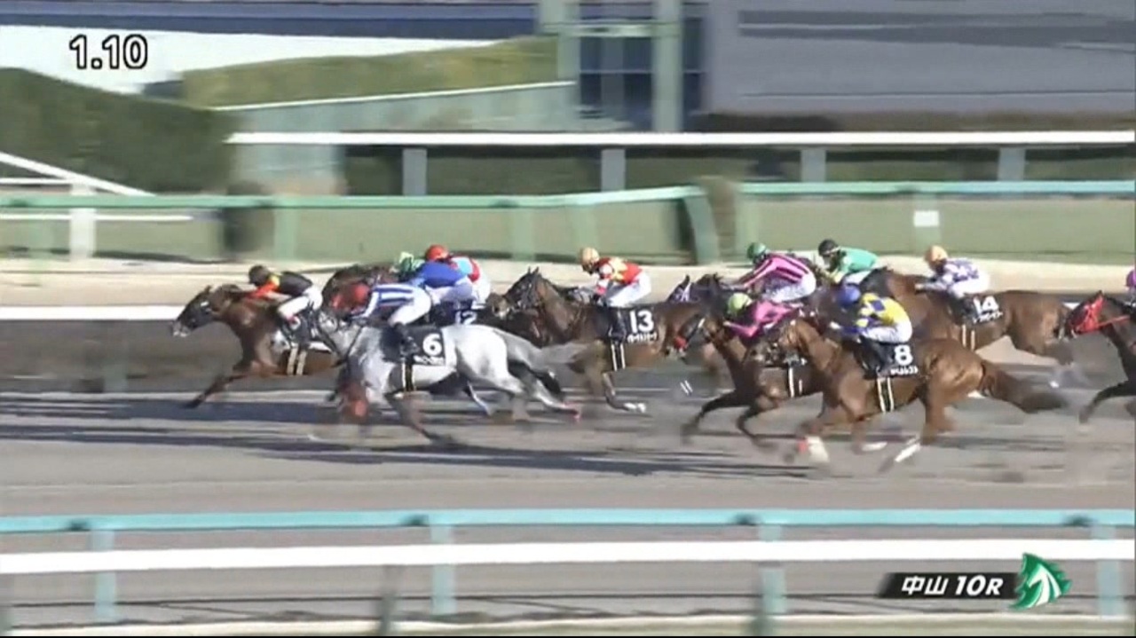 アポロビビ 中山・ジャニュアリーステークス 2022年1月16日 ニコニコ動画