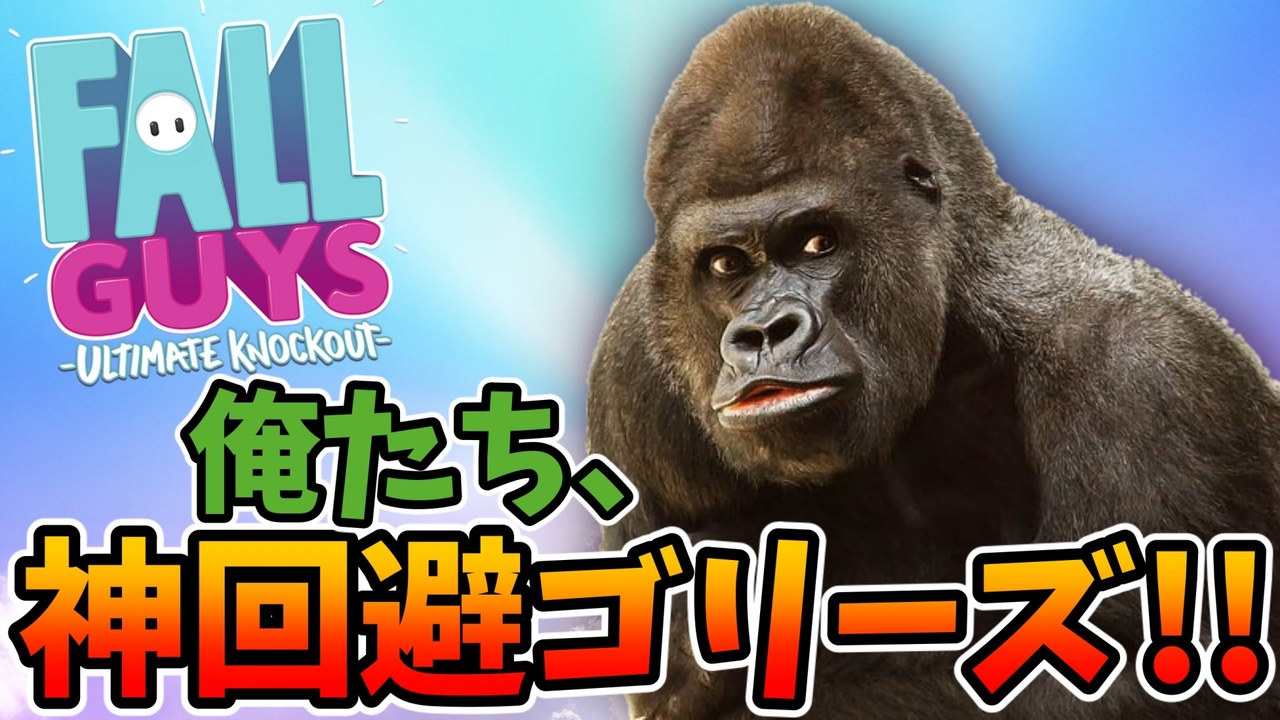 人気の ゴリラ 動物 動画 81本 ニコニコ動画