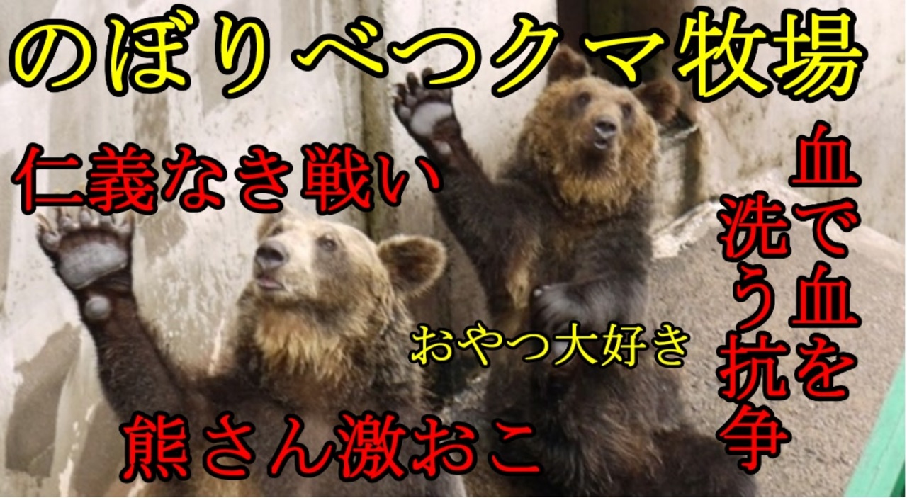 人気の 動物 ヒグマ 動画 73本 ニコニコ動画