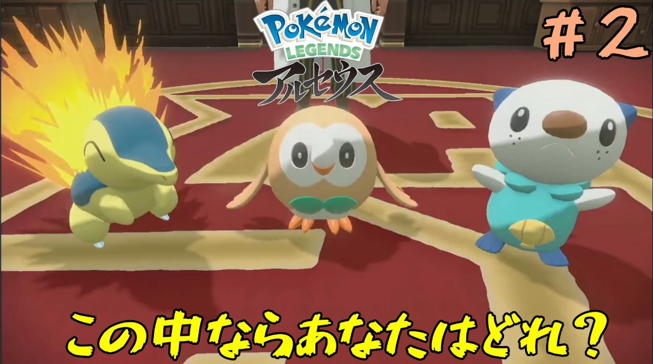 ポケモン アルセウス 趣味 スポーツ 実用