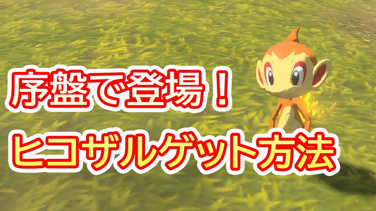 人気の ヒコザル 動画 19本 ニコニコ動画