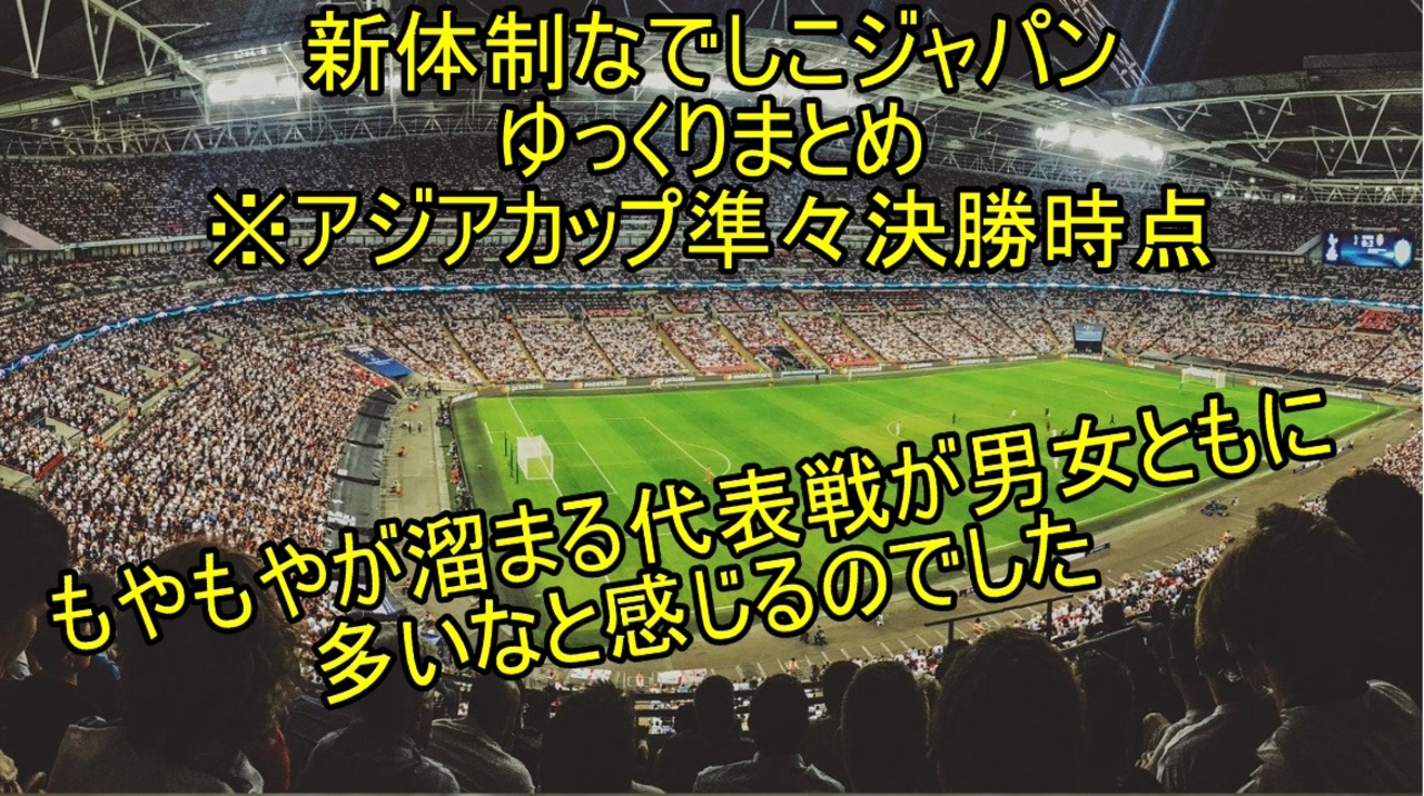 人気の Afcアジアカップ 動画 14本 ニコニコ動画