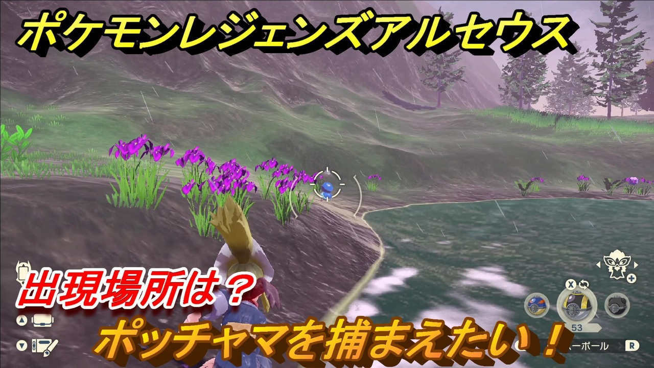 ポケモンレジェンズ アルセウス ポッチャマを捕まえたい 出現場所は ３０４ Pokemon Legends アルセウス ニコニコ動画
