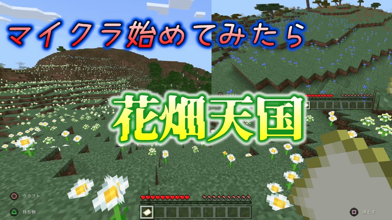 1 マインクラフト 花を全部採ったら 本 マイクラ実況 ニコニコ動画