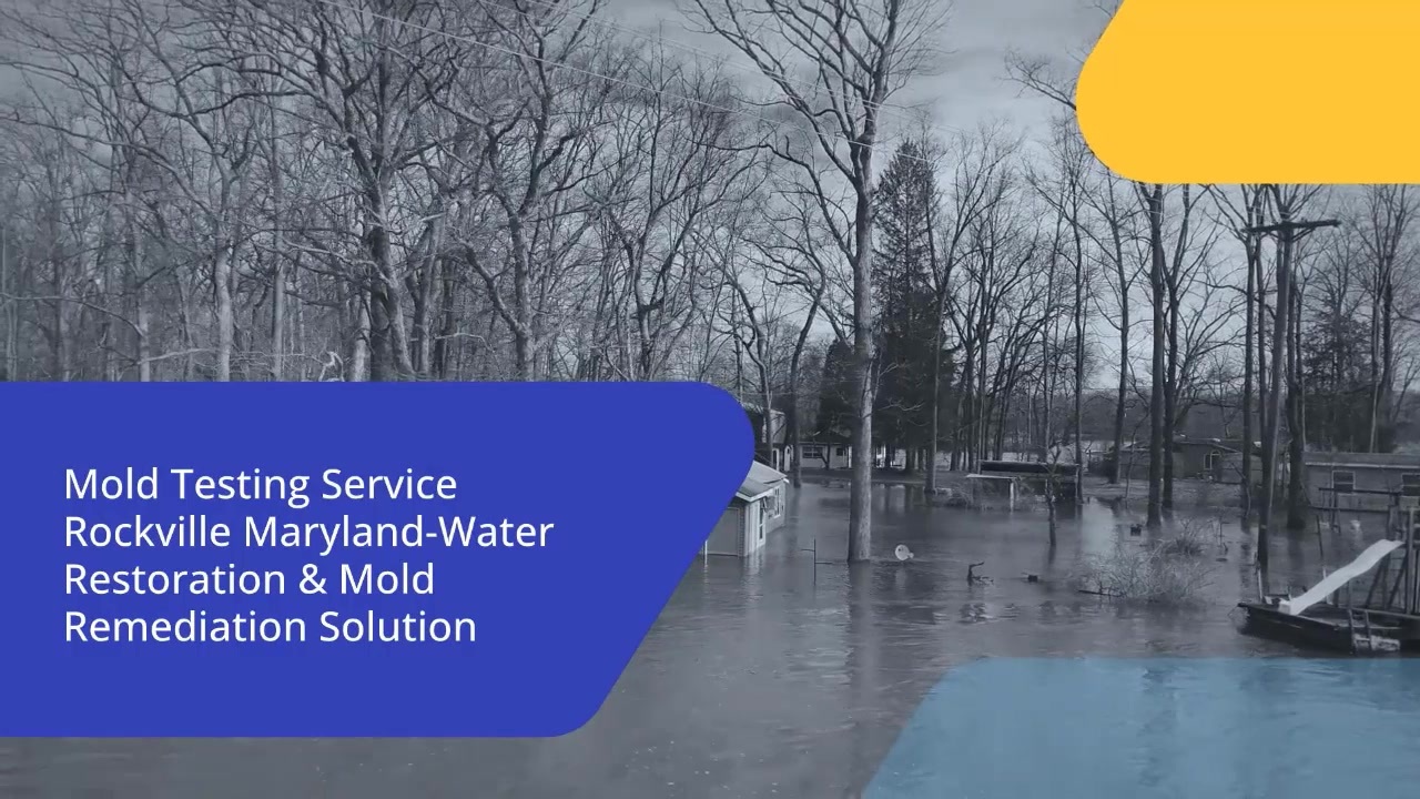 Top 10 Mold Testing Services Rockville Maryland ニコニコ