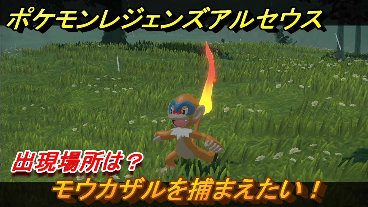 ポケモンレジェンズ アルセウス モウカザルを捕まえたい 出現場所は ２８７ Pokemon Legends アルセウス ニコニコ動画