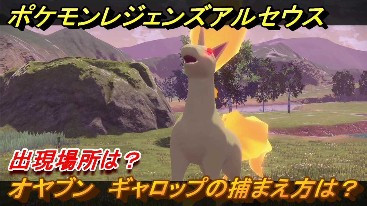 ポケモンレジェンズ アルセウス オヤブン ギャロップの捕まえ方は 出現場所は ３８２ Pokemon Legends アルセウス ニコニコ動画