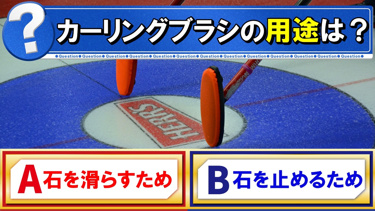 市場 池本刷子工業 やわらかブロースタイリングブラシ