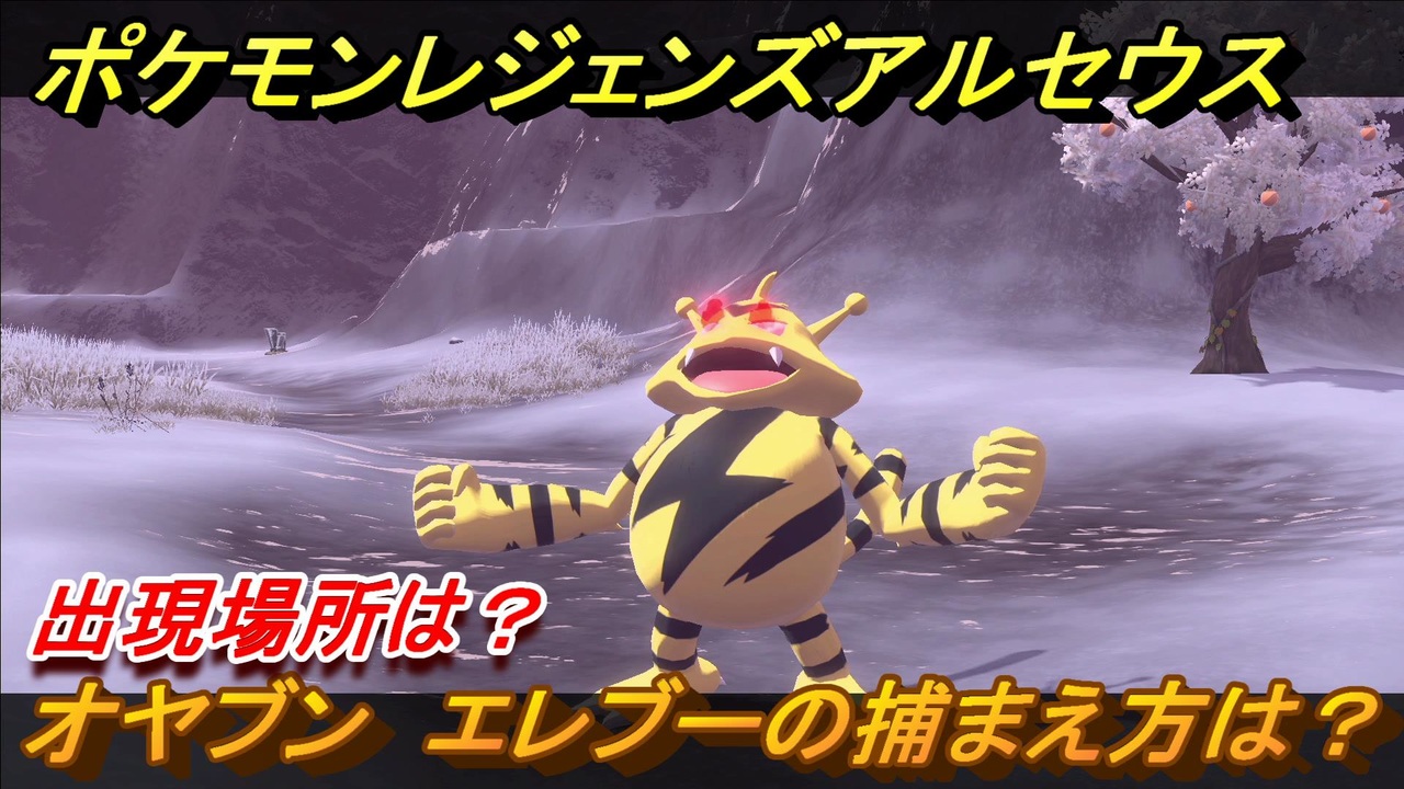 人気の ポケモン 動画 24 356本 40 ニコニコ動画