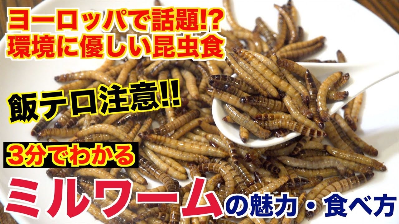 昆虫食 ミルワームの魅力と食べ方 ニコニコ動画
