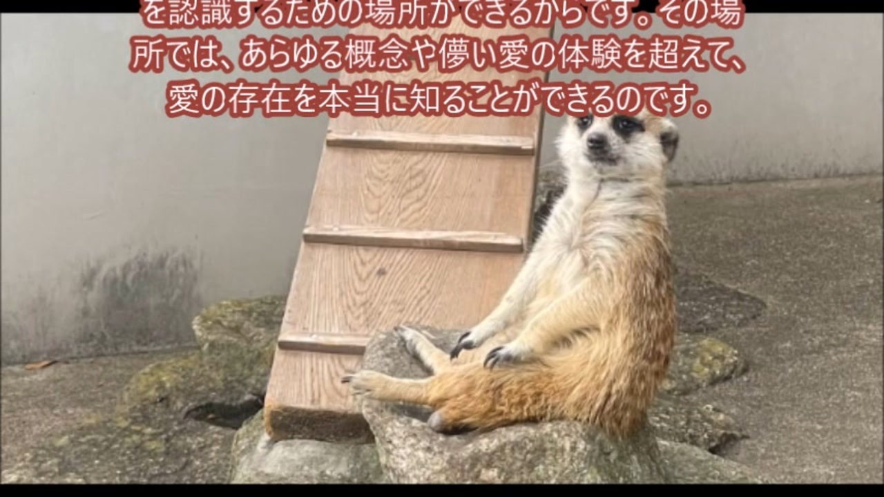 愛はさだめ、さだめは死