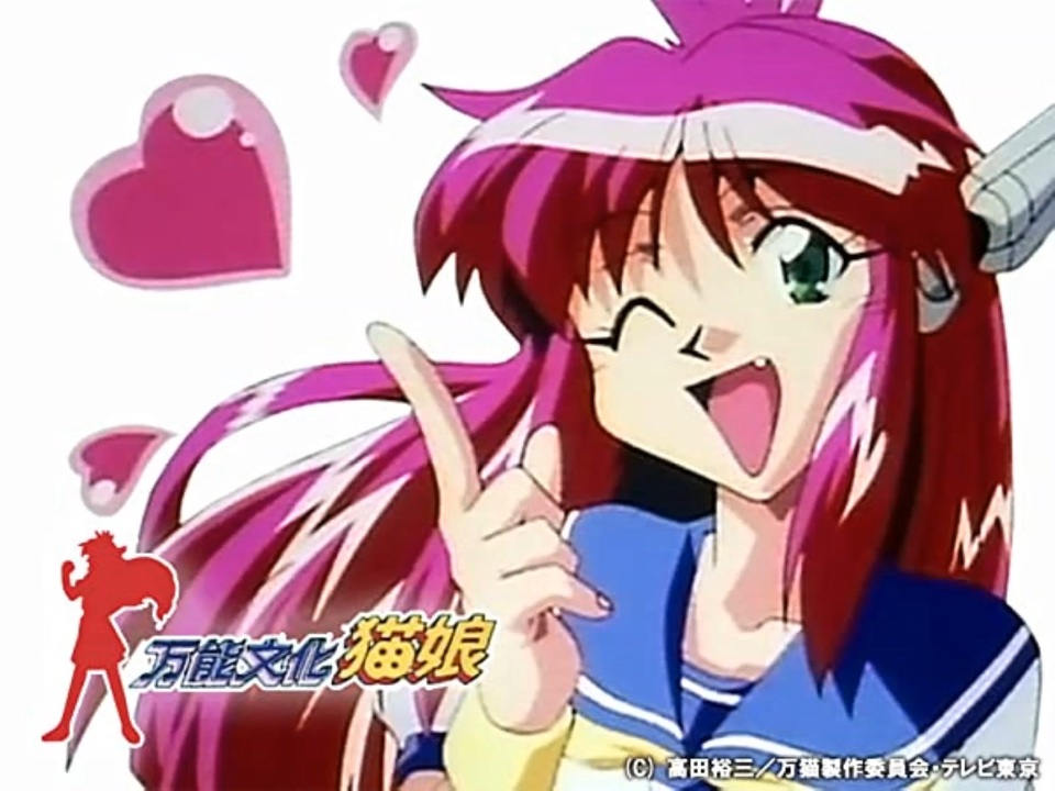 人気の 万能文化猫娘 動画 本 ニコニコ動画