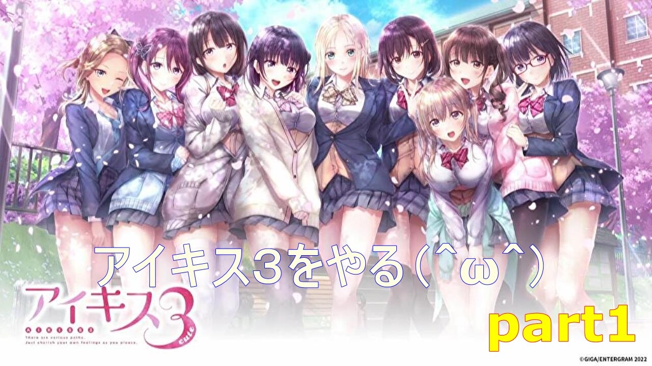 アイキス2 抱き枕カバー
