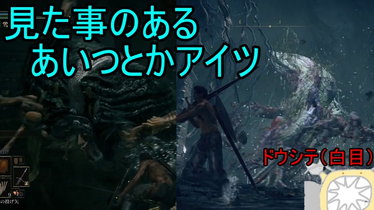 実況 寄生虫がエルデンリングの世界にやってきたの １５ 初見プレイ ニコニコ動画