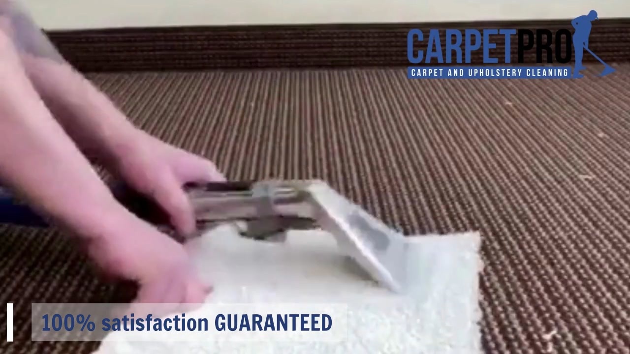 Carpet and Upholstery Cleaning Company in Sussex ニコニコ