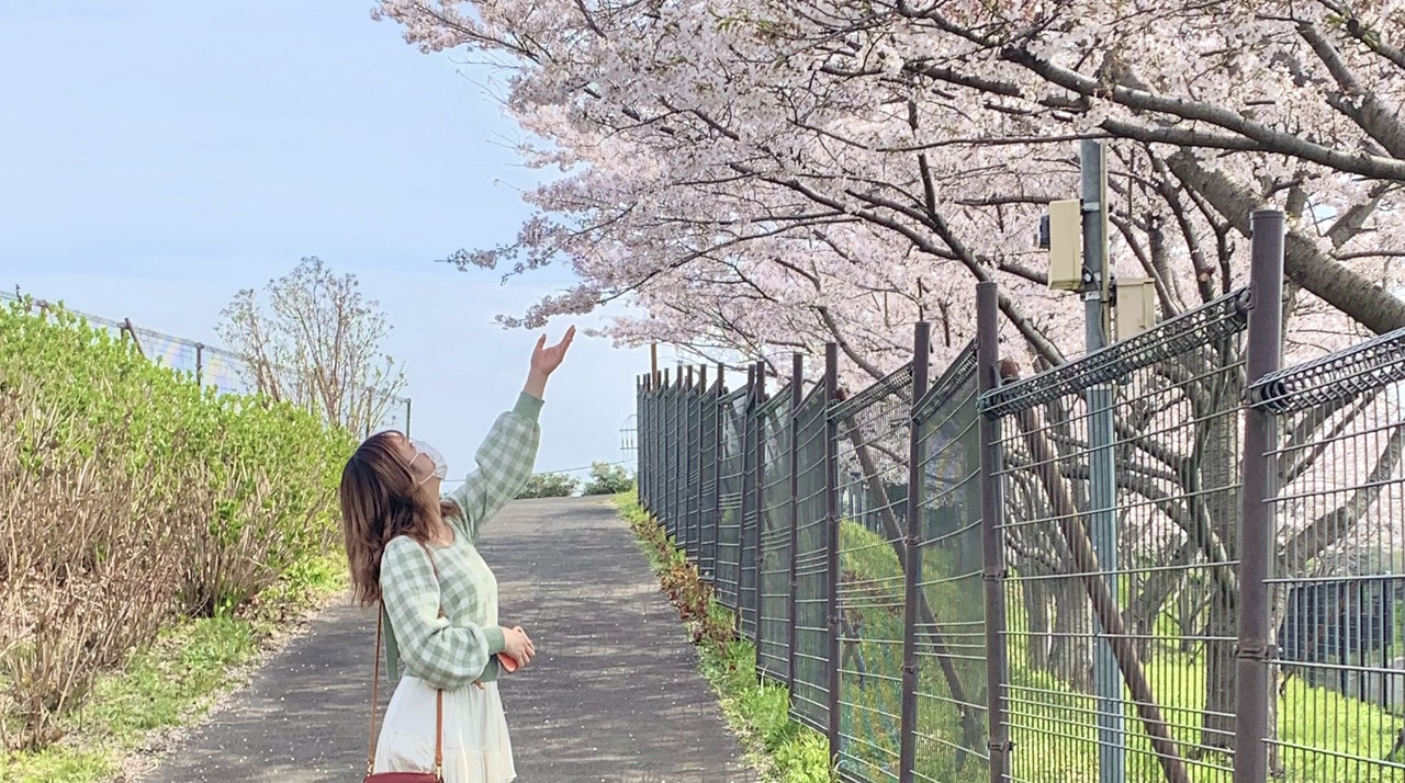 人気の 花降らし 動画 159本 ニコニコ動画