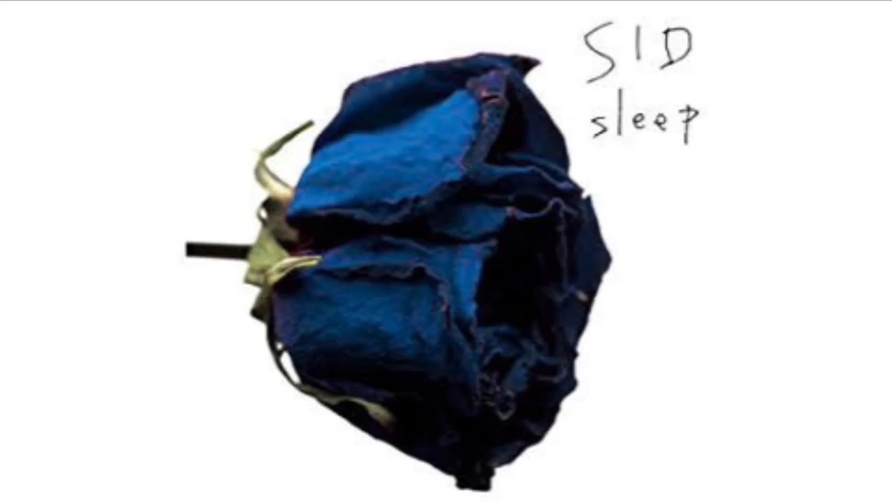 小物などお買い得な福袋 SID様 2点 リクエスト 2点 2点 リクエスト sid