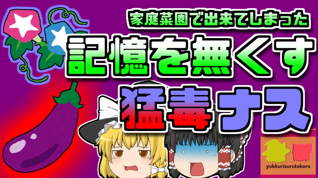 06年沖縄 家庭菜園で意図せず出来た 猛毒ナス 記憶喪失を起こす ゆっくり解説 ニコニコ動画