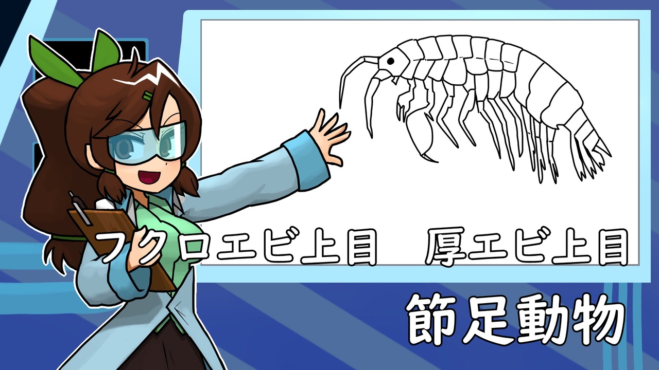 シリーズ動物：節足動物3 フクロエビ上目と厚エビ上目 ニコニコ動画