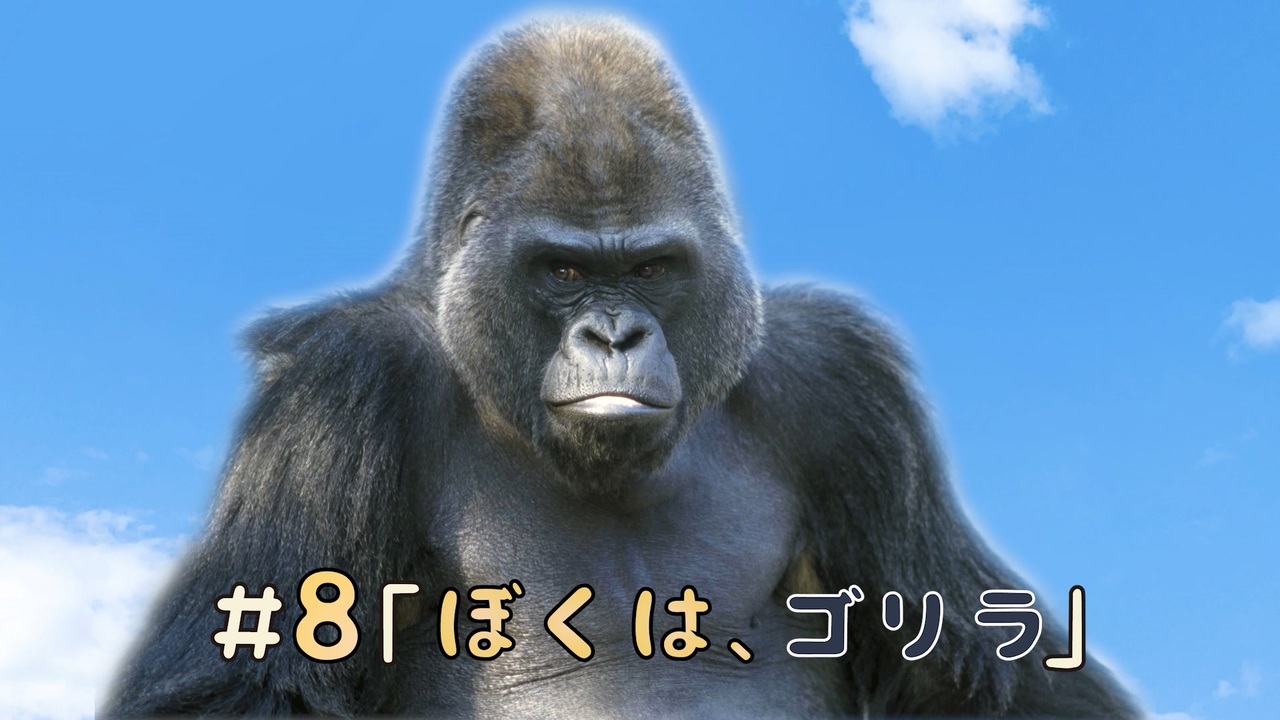 8ぼくはゴリラ ニコニコ動画