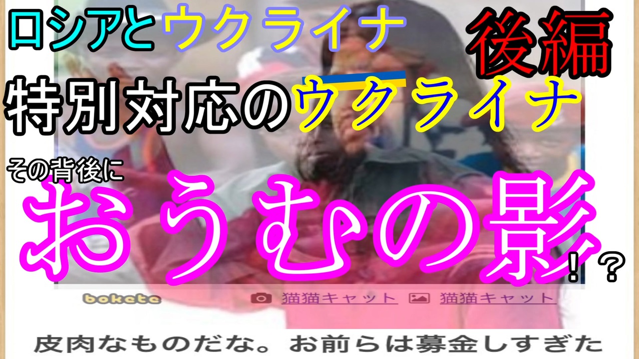 人気の ウクライナ問題 動画 142本 3 ニコニコ動画