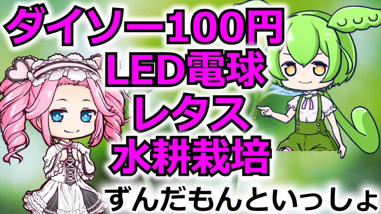 ずんだもんといっしょ 百均の100円led電球でレタス水耕栽培 ニコニコ動画