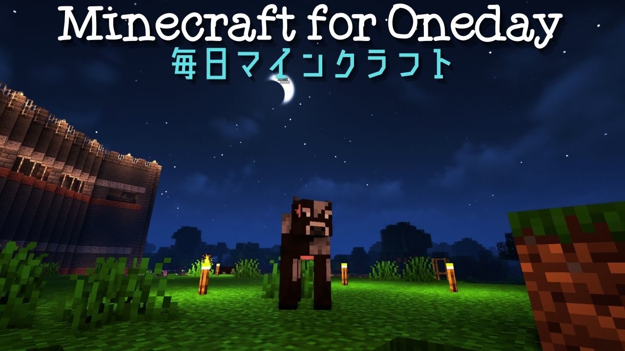 毎日マインクラフト Day5 壁の外を整地する11 ニコニコ動画
