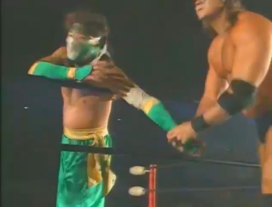 人気の ハヤブサ プロレスラー 動画 79本 ニコニコ動画
