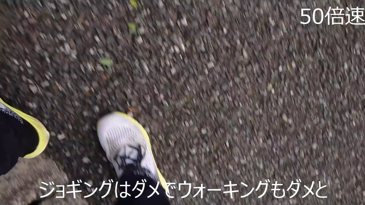運動Day.44 ニコニコ動画