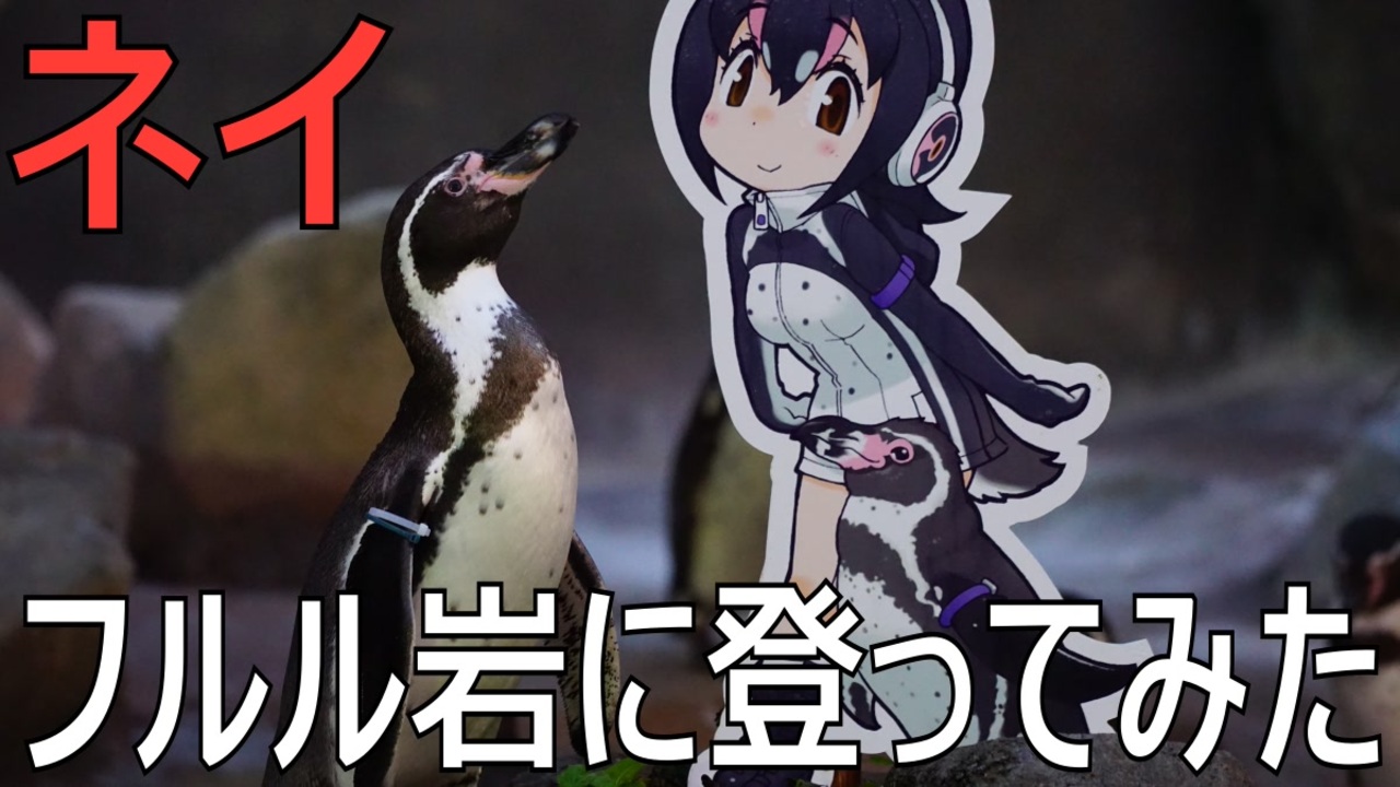 人気の ペンギン 動画 625本 4 ニコニコ動画