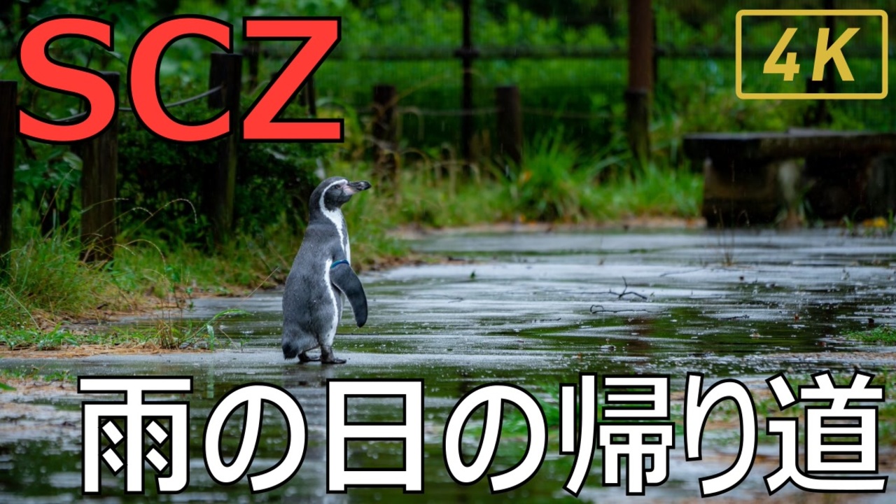 人気の ぺんぎん 動画 625本 4 ニコニコ動画