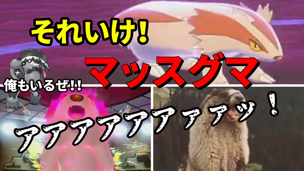 ポケモン剣盾 やっぱりしんそくマッスグマが最強ってことで 4 ランクバトル シーズン13 ニコニコ動画