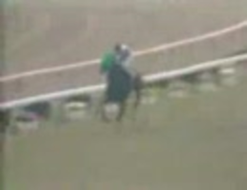 競馬】2O世紀の名馬-14位-テンポイント - ニコニコ動画