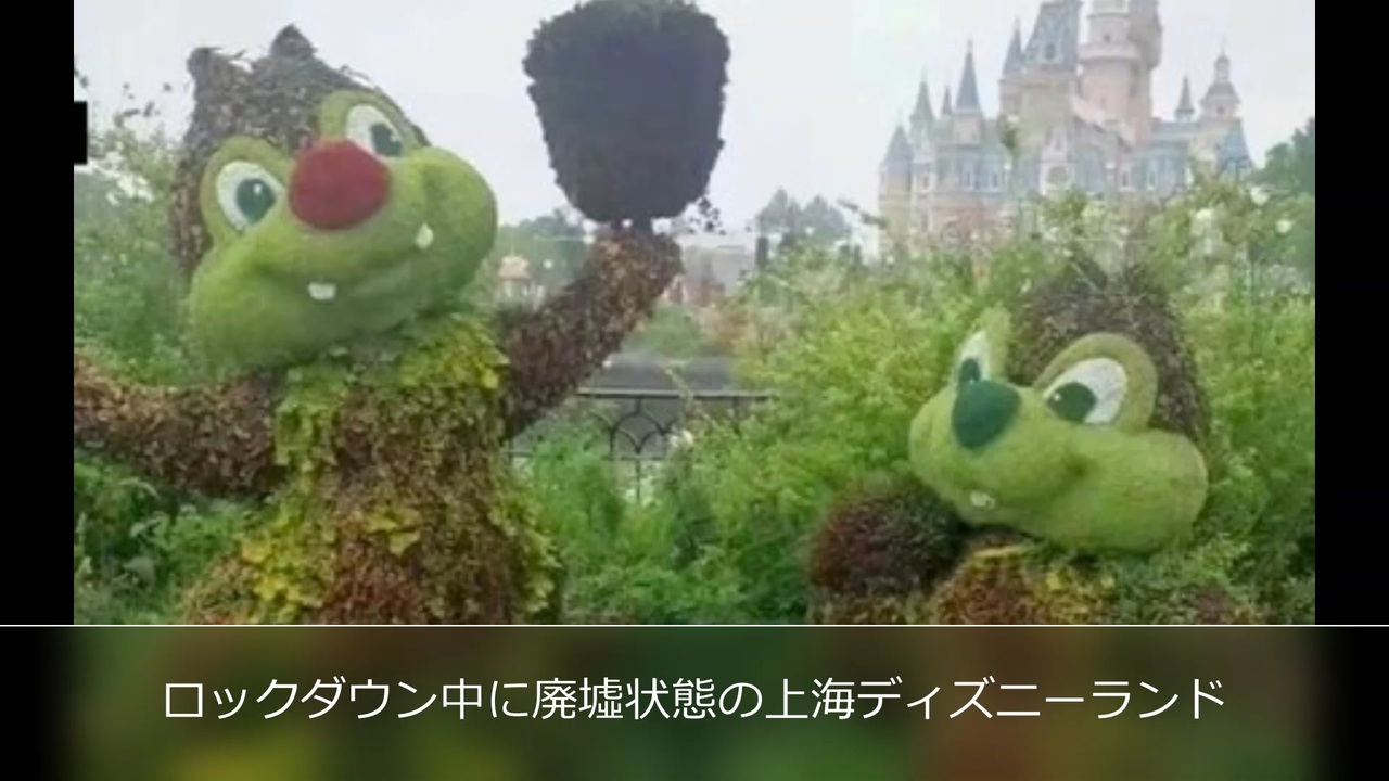 上海ディズニーランドがロックダウン中に荒れ放題 廃墟に ニコニコ動画