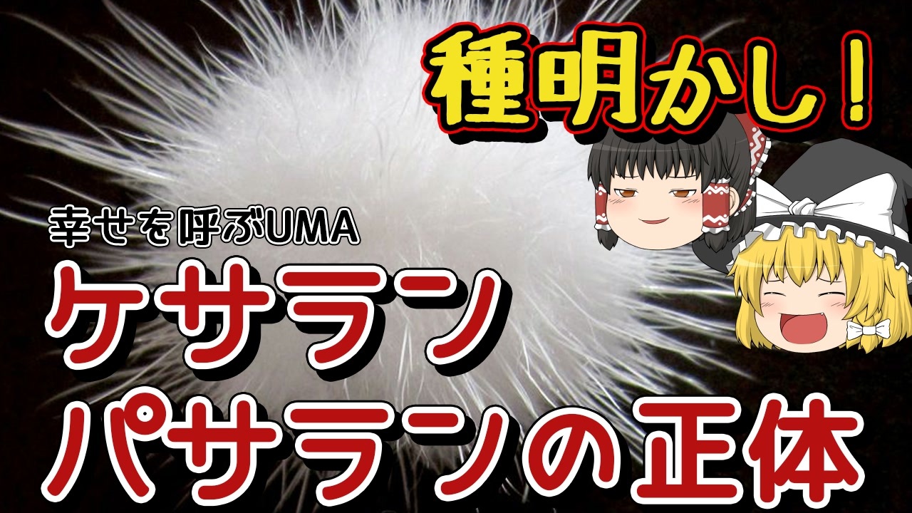 幸せを呼ぶケサランパサラン 3 5 4cm